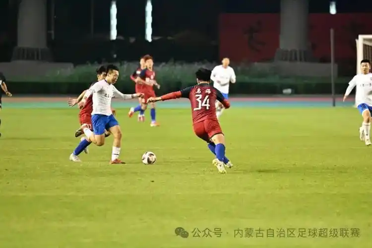 无码视频在线观看